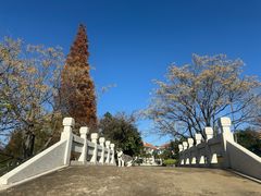 -云南滇池花园国际大酒店温泉