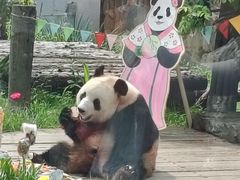 -大连森林动物园