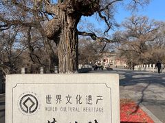 -北陵公园