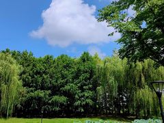 -法华学问寺-停车场