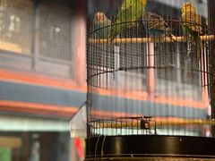 -鱼桥巷·美学川菜