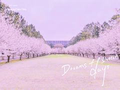 -同济大学(嘉定校区)