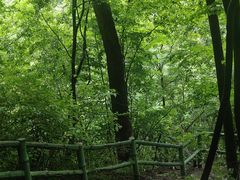 -孤山寨风景区