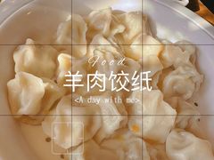 黄萝卜羊肉饺子-福茂源横山铁锅羊肉(牡丹园店)