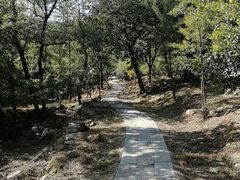 -北京鹫峰国家森林公园