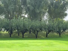 -龙熙温泉高尔夫俱乐部