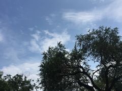 -刘青霞故居(宋都皇城旅游度假区)