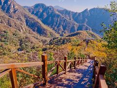 -大岭沟猕猴桃谷风景区