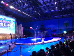 -华夏文旅海洋公园