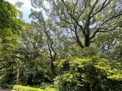 -普陀山风景名胜区-法雨禅寺