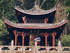 -云栖竹径