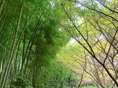 -九龙潭景区