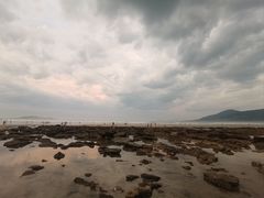 -长江澳风力发电景观区