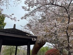 -自然谷恐龙园