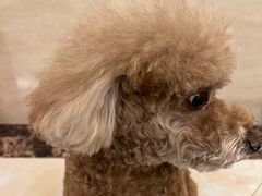 -宠颐生猫科·内科皮肤科(西平世纪城店)