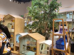 -屋虎猫馆(宝安大仟里店)