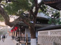 -江心屿景区