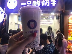 -一只酸奶牛(八一路店)
