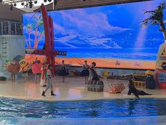 -三亚海昌梦幻海洋不夜城