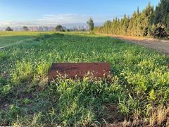 -汉长安城未央宫国家考古遗址公园