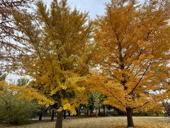 -国家植物园南园