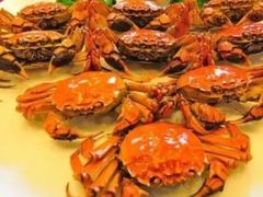 -微山湖湖畔好客居鱼馆渔家菜(微山湖风景区店)