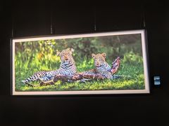 -罗红摄影艺术馆