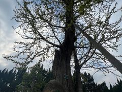 -苏州碑刻博物馆