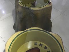 -上海昆虫博物馆