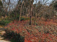 -贮水山儿童公园