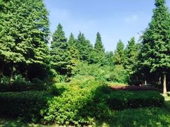 暨阳湖生态园-暨阳湖生态园