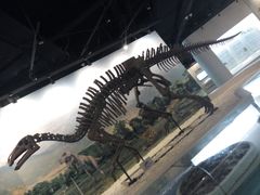 -辽宁古生物博物馆