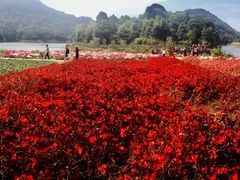 -广州市石门国家森林公园