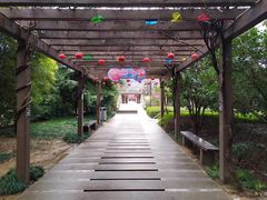 -白马涧龙池景区