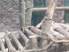 -黔灵山公园