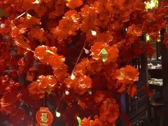 -并州大牌档之醉轻尘