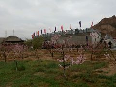 -仁寿山