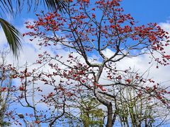 -三亚南山文化旅游区