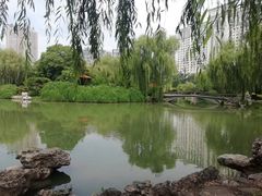 -西苑公园