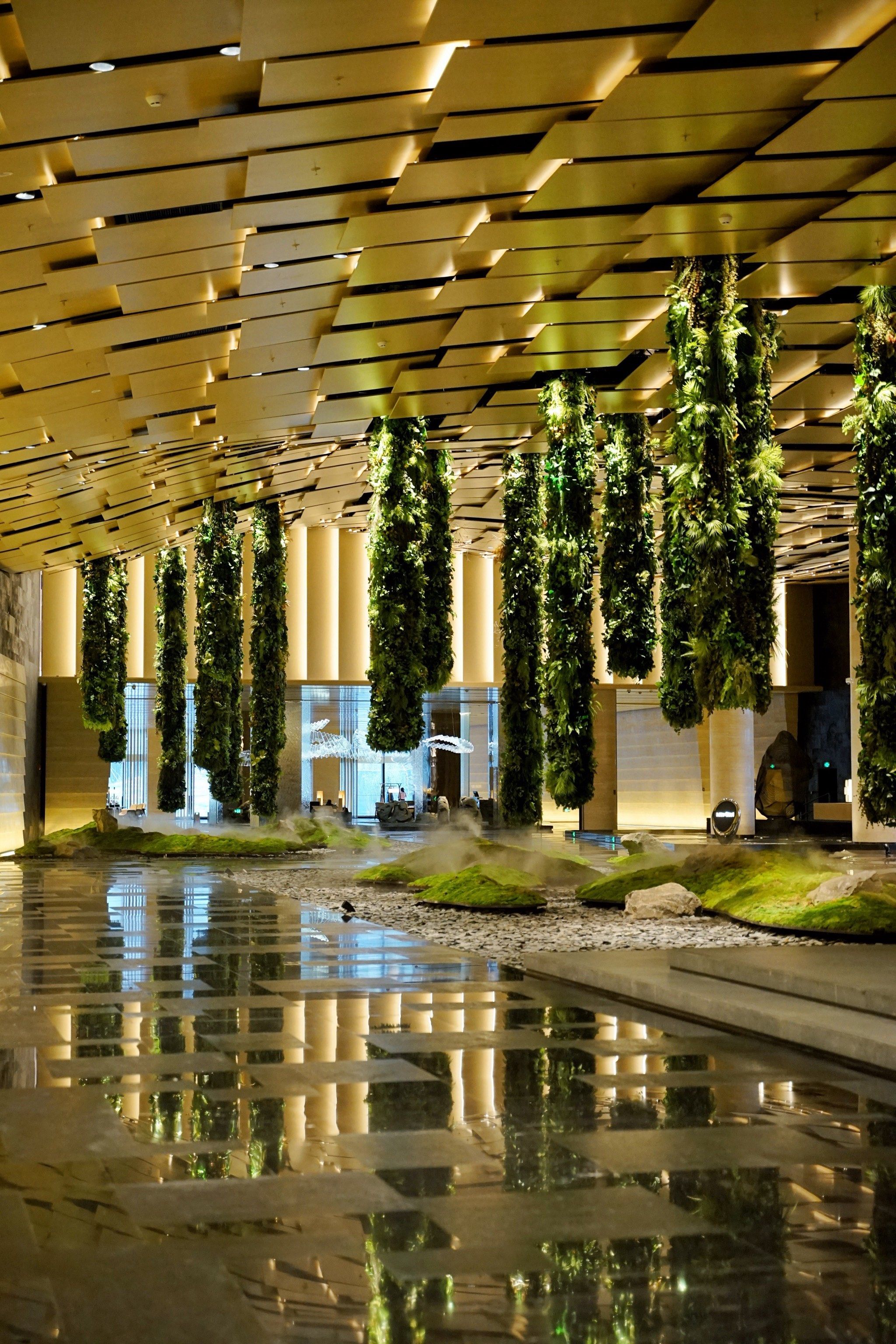 为了这家酒店🏨,一年去南京99次!