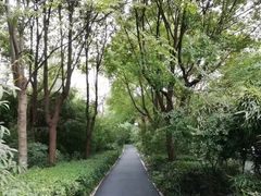 -新江湾城公园