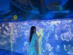 -南昌融创海世界
