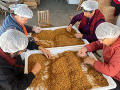 -苏州市吴中区光福窑上花果蜜饯厂