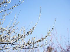 -苏州上方山国家森林公园