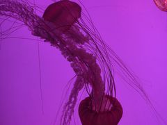 -沈阳海洋探索中心