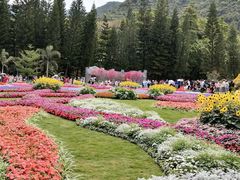 -深圳仙湖植物园