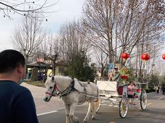 -辛玛王国游乐园