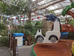 -南宫五洲植物乐园