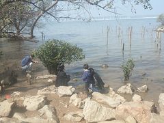 -宝安西湾红树林湿地公园