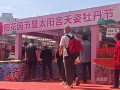 -太阳宫公园